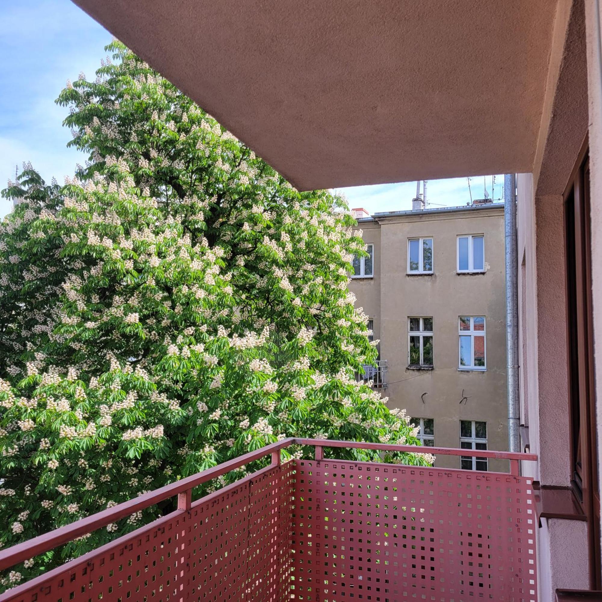 Aura Apartment ヴロツワフ エクステリア 写真